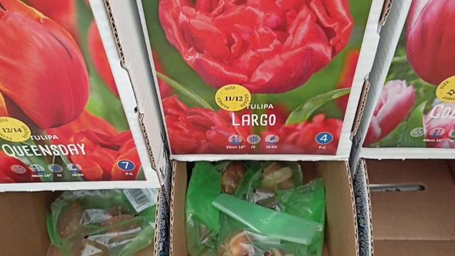 467.#Наш садовый центр Флос(небольшой обзор) 🌹Мои покупки и немного роз🌹🌹🌹 смотреть онлайн