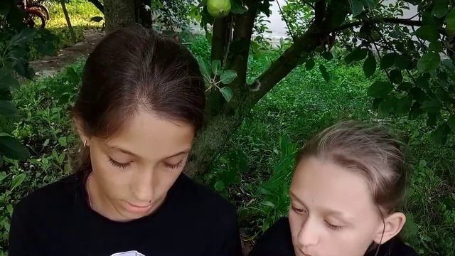 КрИнЖ лАйКа! мы офигели когда посмотрели смотреть онлайн