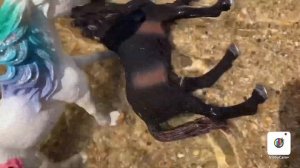 Морской единорог спасает лошадей/ лошади Шляйх