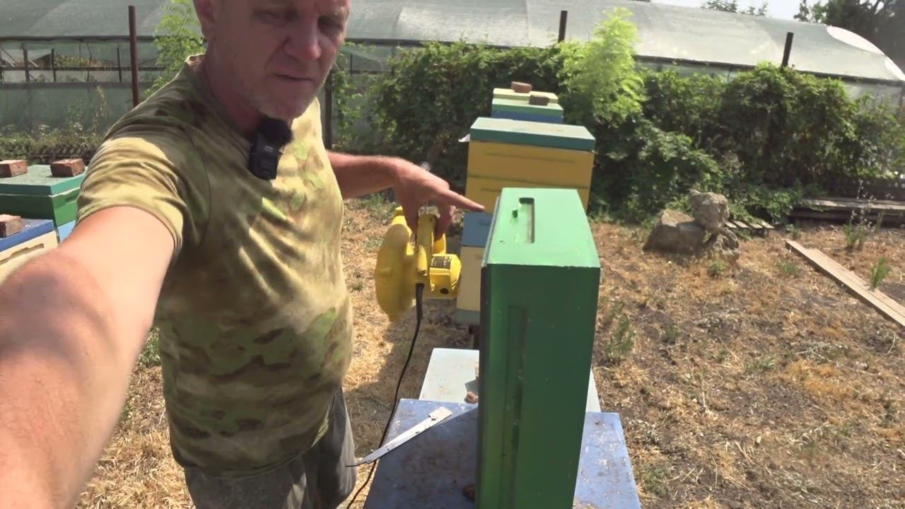 ПРОЦЕСС ОТКАЧКИ МЕДА смотреть онлайн