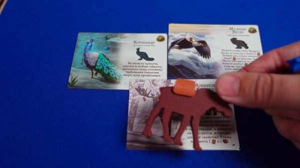 Обзор Эверделл. Острые хребты. Лучший доп для Эверделла!