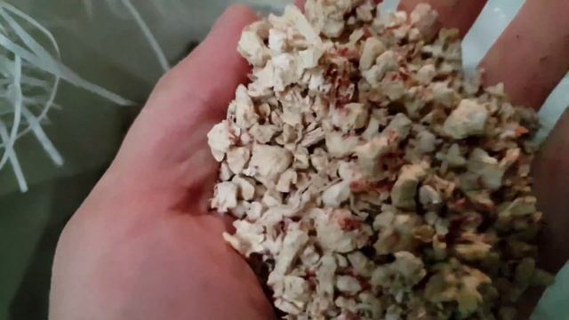 Работа котла Светлобор на дробленной кочерыжке кукурузы смотреть онлайн