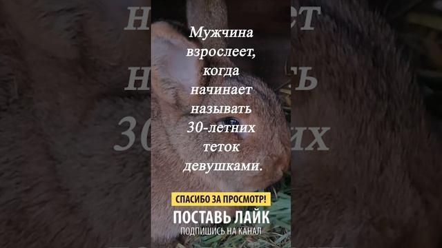 Упс ... смотреть онлайн
