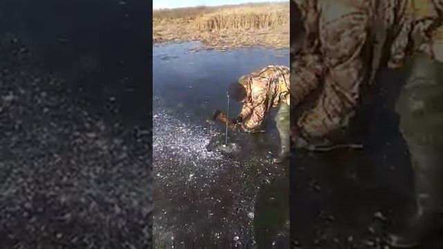 РЫБАЛКА В КАЗАХСТАНЕ. ТАРАЗ. ОСТРОГОЙ РУКАМИ смотреть онлайн