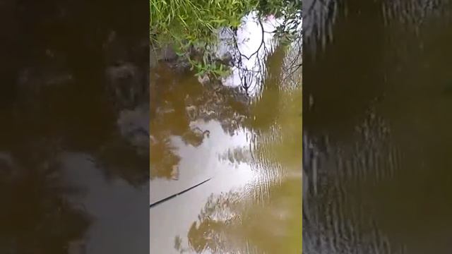 Рыбалка на ольгохте! смотреть онлайн