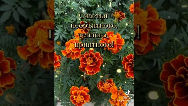 Дорогих женщин поздравляю с днем женского счастья!!!Будьте любимы и богом хранимы!????????❤️ смотреть онлайн