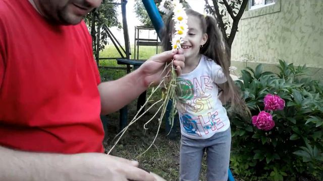 веночек из ромашек wreath of camomiles смотреть онлайн