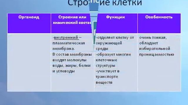 Клеточная оболочка и цитоплазма.AVI смотреть онлайн