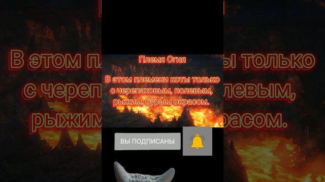 //"Описание" моих новых Котов воителей//Ксения и Камелия//(Загляните в описание!!!)\\ смотреть онлайн