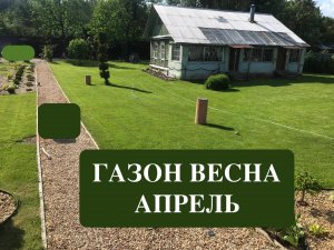 Газон весной в апреле