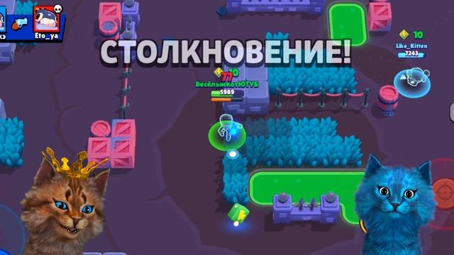 ЭТО КАКИЕ ТО ЧИТЫ В BRAWL STARS! ВЕСЁЛЫЙ КОТ И КОТЁНОК ЛАЙК смотреть онлайн