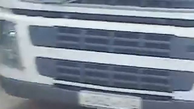 Медведь-попрошайка смотреть онлайн