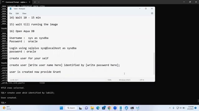 Learn the Basics of Oracle Database Setup with Docker! Part #2 смотреть онлайн