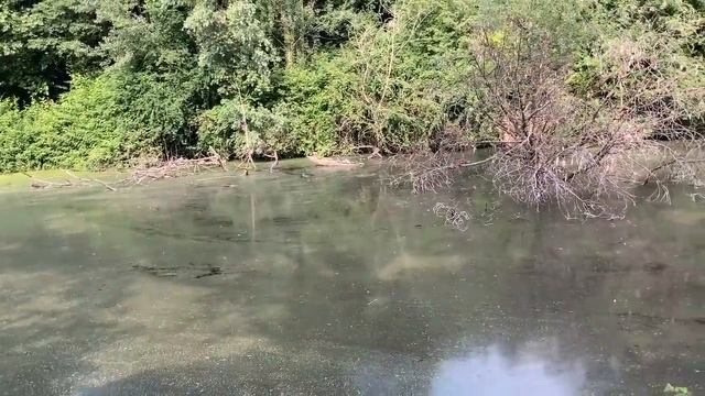 Дани, ешь хлеб, он бесплатный