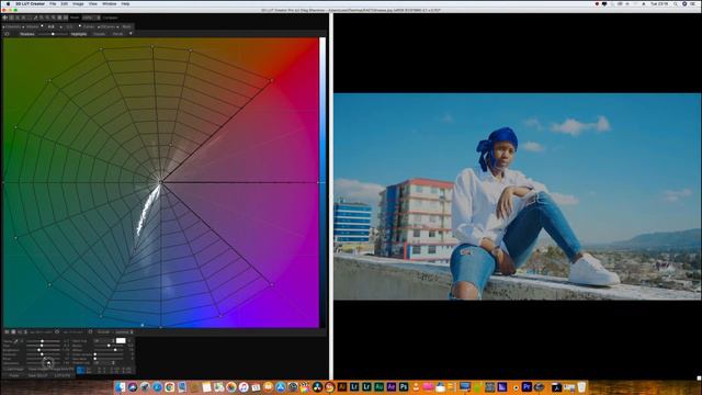 3DLUT CREATOR COLOR GRADING.