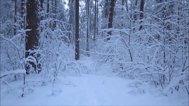 На лыжах у Деснянки смотреть онлайн