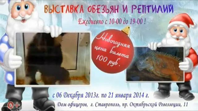парад обезьян в ставрополе ООО Парус смотреть онлайн
