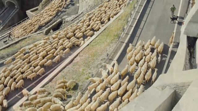 Кем быть смотреть онлайн