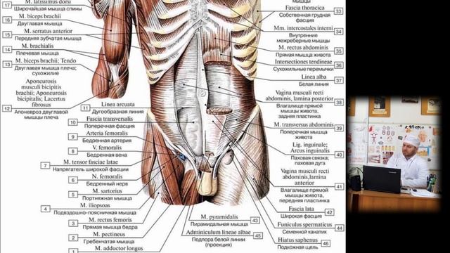 Топография брюшной стенки. часть 2 Ахмадудинов А.М. смотреть онлайн