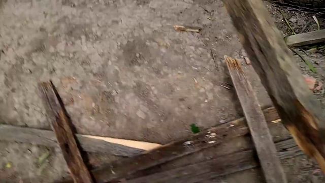 мем с деревом смотреть онлайн