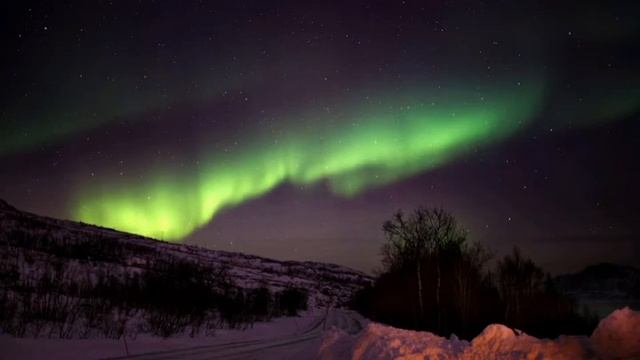 《 В белых просторах 》: Музыкальная поэзия смотреть онлайн