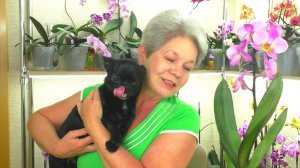 Какие НАСЕКОМЫЕ ВРЕДИТЕЛИ живут на Вашей орхидее? Как узнать? Как бороться ?