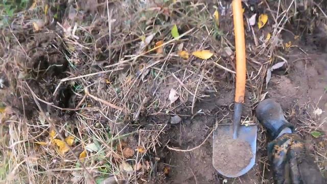 Удачный коп на разведанном месте. смотреть онлайн