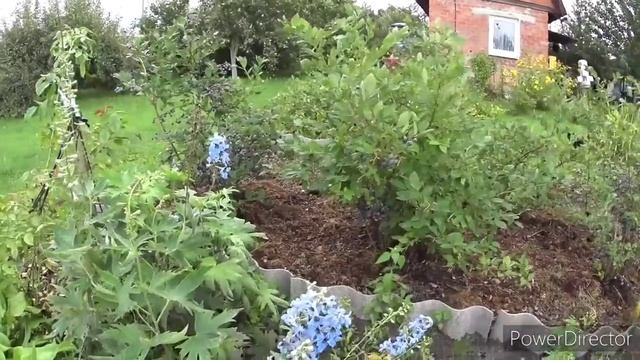 Вечером на даче. Близится осень. Достаём тёплые одеяла с мансарды.Vlog.Брест смотреть онлайн