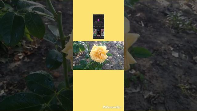 А давайте вспомним лето?/ тогда вам сюда/ новое видео/ от Софии Малецкой/ 💗🥰👇😉😘 смотреть онлайн