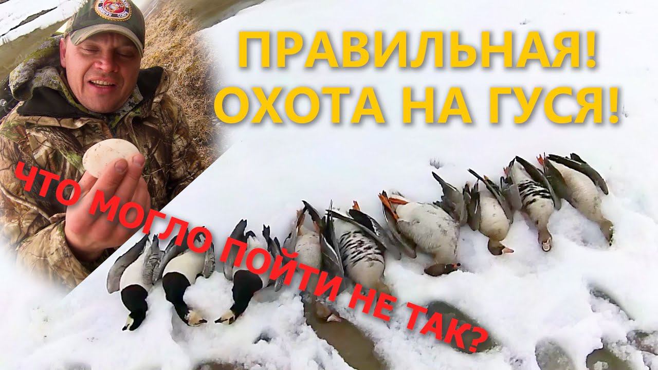 Охота на гуся. Остров Сенгейский goose hunting смотреть онлайн