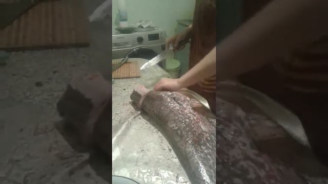 жайын сойыу смотреть онлайн