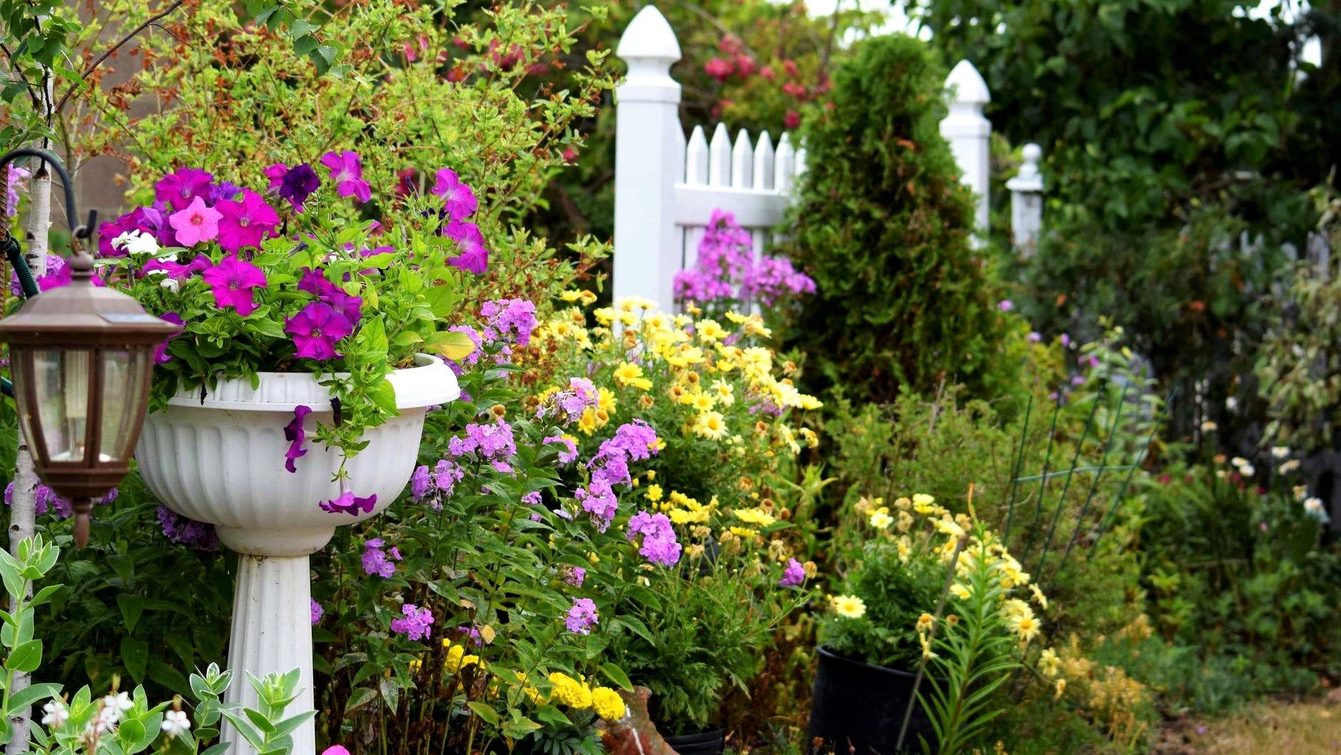 ?Ландшафтный дизайн сада Идеи для благоустройства / Garden Decoration Ideas / A - Video