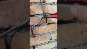 Как проверить наличие тока в проводе