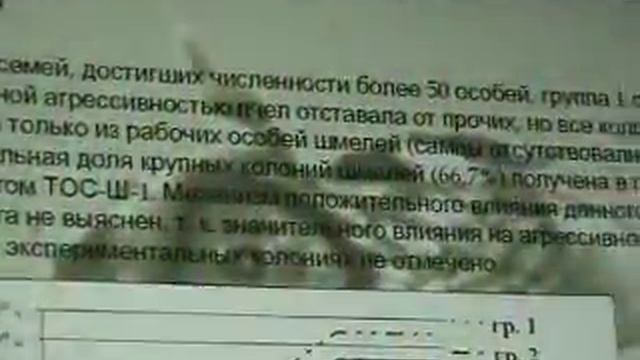 Аналоги феромонов медоносной пчелы в шмелеводстве (Hymenoptera, Apoidea). Лопатин А.В.