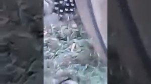 Ремонт поворотного круга 2 ПТС4