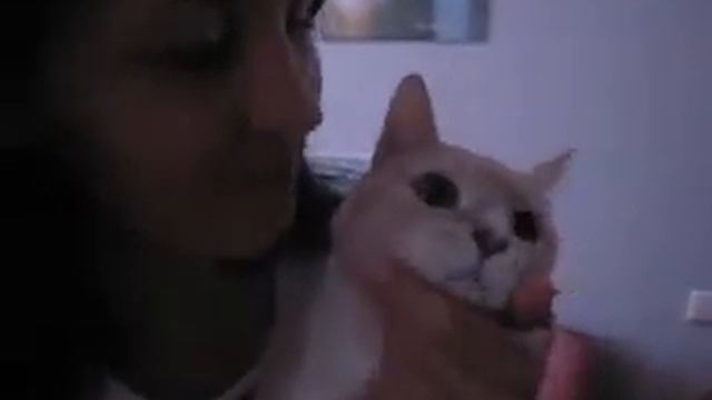 =Сергей Симонов - 17 лет Годовщина СВАДЬБЫ= смотреть онлайн