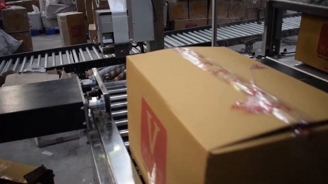 Pusher Sorter System - Low Cost Pusher Sorters By Falcon Autotech