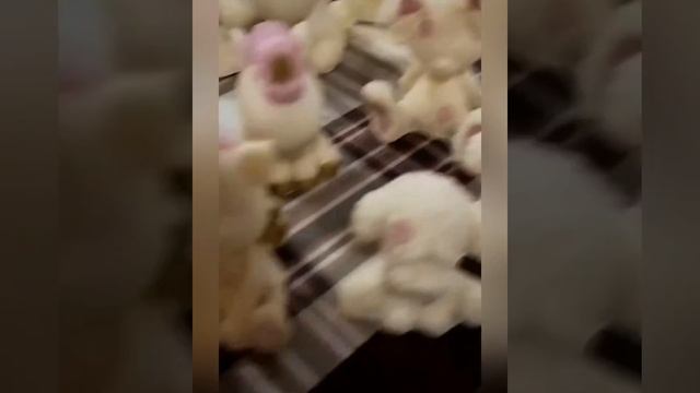 Шоколадные фигурки из глазури Шокомилк от Фабрики сладкого декора смотреть онлайн