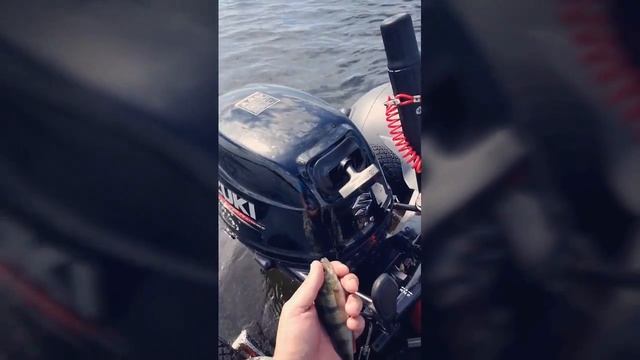 Рыбалка 16.,17.06.018 Нарвское водохранилище.#Рыбалка161706018Нарвскоеводохранилище смотреть онлайн