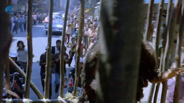 Hanzo Türk Filmi | Hanzo'nun İstanbul'a Getirilişi! Kemal Sunal Filmleri