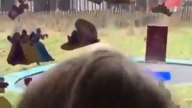 Овечка прыгает на батуте, очень мило! смотреть онлайн