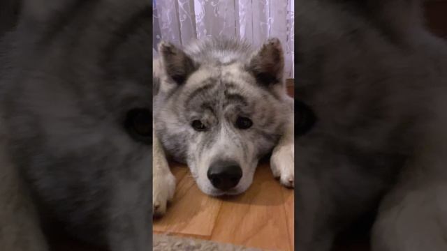 Накапливаем энергию смотреть онлайн