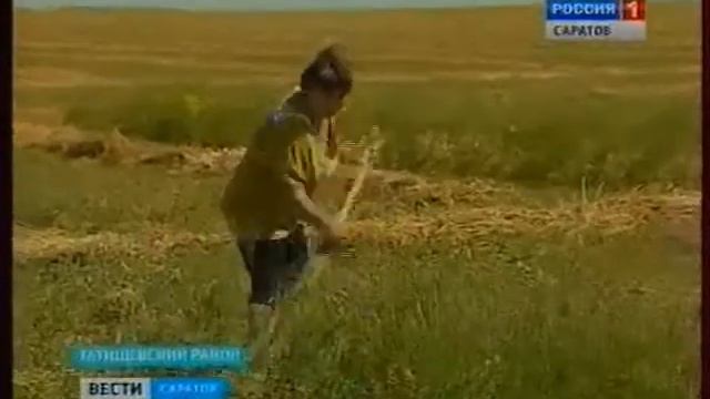 Областные летние сельские соревнования в Татищеве смотреть онлайн