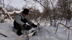 ОХОТА НА БОБРА.ЗИМОЙ.СТАВЛЮ ПРОХОДНЫЕ КАПКАНЫ С ПРИМАНКОЙ.