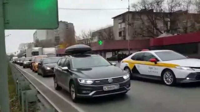 В Красково перекрыли трассу, чтобы спасти лес смотреть онлайн