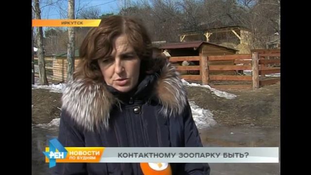 Будущее контактного зоопарка в Иркутске под вопросом смотреть онлайн