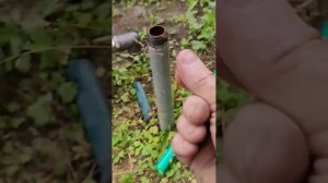 Абиссинская игла вышла из строя #яабиссинщик