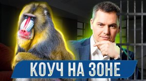 За что сидел инфоцыган, который учит успешному успеху?