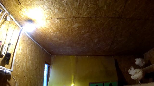 Чистая вода круглый год у кур-несушек. Водопой переведён с улицы, в курятник смотреть онлайн