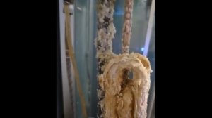 Как я чистил бойлер Ariston 100 литров, плохо греет, первая чистка после 4 лет эксплуатации